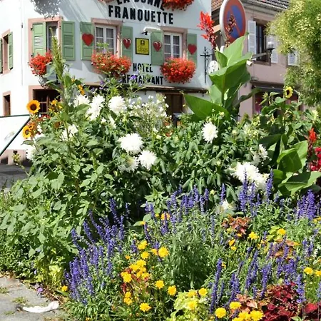 4 Pers. Le Villois Centre Alsace Apartment *