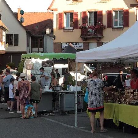 4 Pers. Le Villois Centre Alsace Ville (Bas-Rhin)