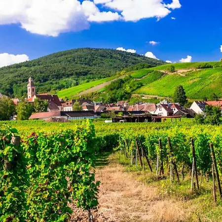 4 Pers. Le Villois Centre Alsace Apartment
