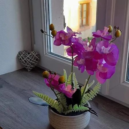 4 Pers. Le Villois Centre Alsace Apartment